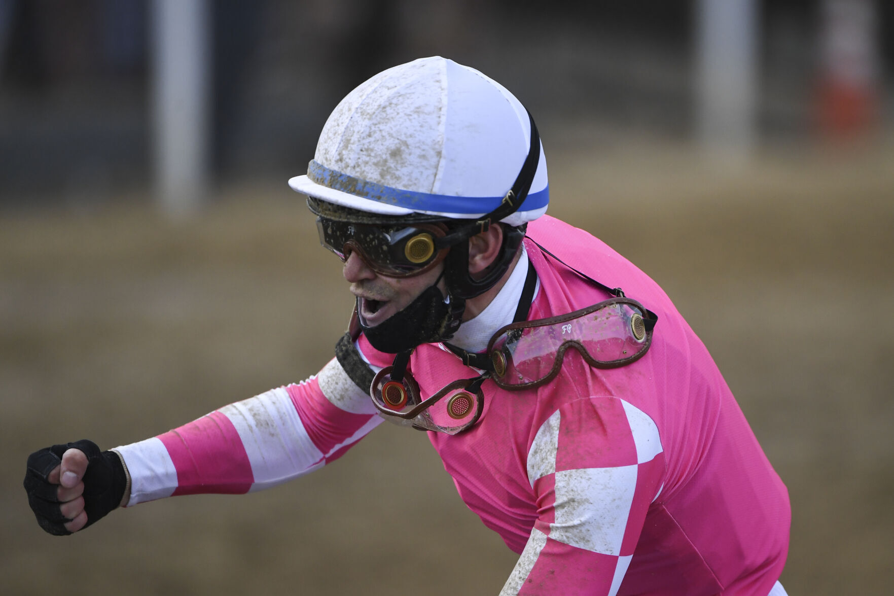 Preakness Stakes Horse Race